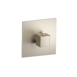 3/4" Thermostatic Valve With Trim