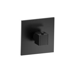 3/4" Thermostatic Valve With Trim