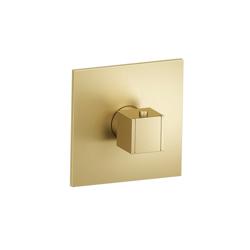 3/4" Thermostatic Valve With Trim