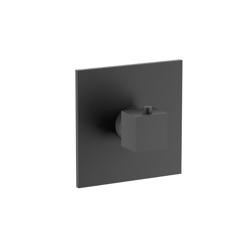 3/4" Thermostatic Valve With Trim