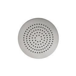 6" Solid Brass Showerhead / Rainhead