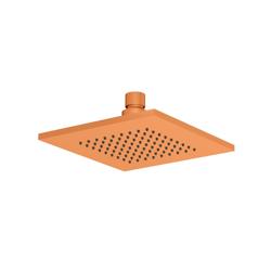 6" Solid Brass Showerhead / Rainhead